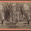 Temple St.
