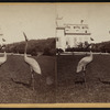 Cranes at Fernhurst.