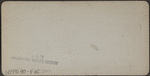 Chapel St., New Haven, March 1888.