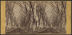 Temple Street, New Haven, Conn.