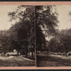 Street view.