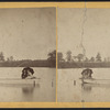 View of two couples in a boat.