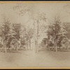 View in Washington Square.