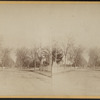 Park Avenue.