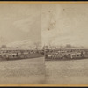 View in Sea Side [Seaside] Park, (showing bandstand and P.T. Barnum's residence in distance).