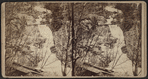 Abram F. Palmer's mill dam, south of Cornwall Plain.
