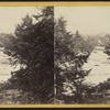 On the Housatonic River, at Falls Village, (Conn.)