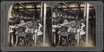 Drawing machines for combing out and straightening the fibres. Silk industry (spun silk), South Manchester, Conn., U.S.A.