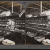 Quilling. Silk industry, South Manchester, Conn., U.S.A.