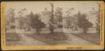 Museum Avenue.