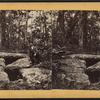 Putnam Wolf Den" [a small cave?], Pomfret, Conn.