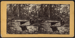 Putnam Wolf Den" [a small cave?], Pomfret, Conn.