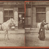 A woman and a horse at Putnam.