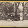 Temple Street, New Haven.
