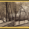 On the Bronx River at Williams Bridge.