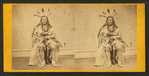 Rushing Bear, or the Son of the Star [Ku-Nugh-Na-Give-Nuk], head chief of the Arickarees, Fort Berthold, S.D.