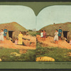 Squatter's family and dugout, Bad Lands [Badlands].