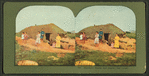 Squatter's family and dugout, Bad Lands [Badlands].