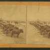 Ready for plowing with a pair of horses.