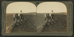 Plowing rich prairie soil with tractor, S. Dak.