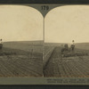 Making a good seed bed - tractor drawing double disc and three section tooth-harrows, S. Dak.