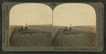 Making a good seed bed - tractor drawing double disc and three section tooth-harrows, S. Dak.