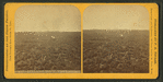 Distant view, Fort Lincoln. [Showing a buffalo skull on the prairie in foreground.]