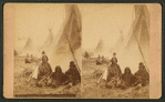 Sitting Bull's Camp: sectional view.