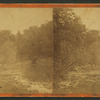 View of a rocky creek bed