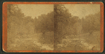 View of a rocky creek bed