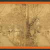 Looking down race from city dam, Brandywine