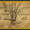 East front of the Capitol.