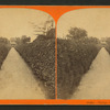 Hedge, Agricultural Department.