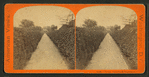 Hedge, Agricultural Department.