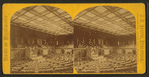Chamber House of Representatives.