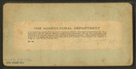 The Agricultural Department, Washington, D.C..