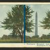 Washington Monument from Potomac River, Washington, D.C..
