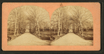 The West Capitol Ground.