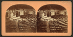 The House of Representatives.