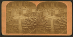 The House of Representatives.