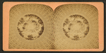 Brumidis Alligorical Painting's in the Dome of the U.S. Capitol.