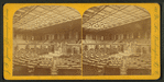 House of Representatives.