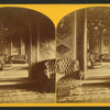 President's Room, Senate.