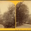 View, Capitol Grounds, Washington, D.C.