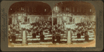 U.S. House of Representatives in session. Hon. Joseph Cannon, Speaker of the House, Washington, D.C.