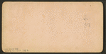 The President's House, Washington, D.C.