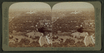 From Washington Monument (E.) over Agricultural Grounds to the Capitol, Washington, U.S.A.