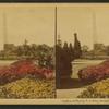 Garden of Plants, U.S. Department of Agriculture, Washington.