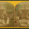 Fountain Garden, Agricultural Dept. Grounds.