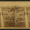 Grounds from the Agriculture Department, Washington, D.C., U.S.A.